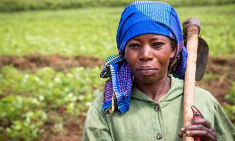 Infos congo - Actualités Congo - -Kivu: le PAM et la FAO soutiennent les petits agriculteurs et les femmes pour appuyer la paix