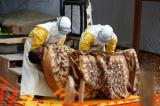 Équateur/Ebola : un nouveau cas confirmé à Lotumbe et un décès à Mbandaka