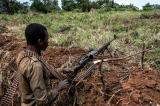 Nord-Kivu : nouveaux affrontements entre le M23 et les FARDC vers Bihambwe