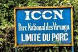 Suite à une intrusion perpétrée au parc des Virunga, un garde de l'ICCN tué