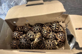Asie du Sud-Est : une loutre et des tortues à bord : des animaux de contrebande sèment la pagaille durant un vol