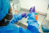 Fondation Gates : 40 millions de dollars pour développer des vaccins en Afrique