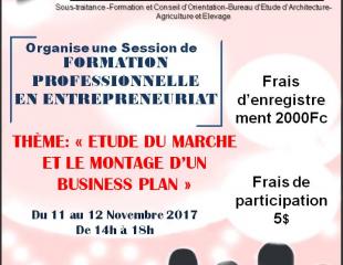 FORMATION PROFESSIONNELLE EN ENTREPRENEURIAT, THEME : ETUDES DU MARCHE ET LE MONTANGE D'UN BUSINESS PLAN