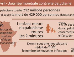 Devenir employé des Nations Unies