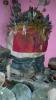 papatossou