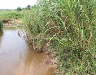 vente parcelle upn ,nzamba