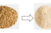 Machine de fraisage de riz mediacongo