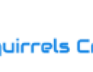 CREATION DE SITE WEB