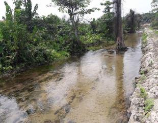 Concession contenant des étangs et une source d'eau douce, mise en vente