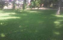 Jardin,site jusqu au fleuve a louer pour la periode juin a septembre  mediacongo