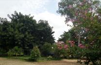Locatoon jardin a kinsuka vue fleuve mediacongo