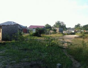 Terrain vide mis en vente