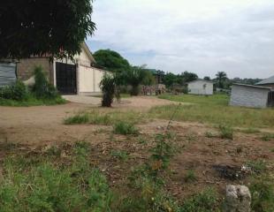 Terrain vide mis en vente