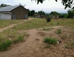 Terrain vide mis en vente