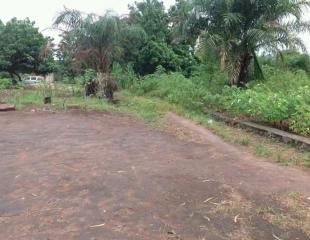 Terrain vide mis en vente