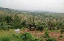 Vente de terrains lotis et cadastrés à Lutendele/ 4 kilomètres de mbudi mediacongo