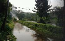 Concession de 2hectares 39 avec des étangs et poissons traversée par une rivière mise en vente à kinkole avant pool malebo entrée José makila, 15 minutes après l'aéroport international de ndjili, Espace calme avec une verdure à couper le souffle, prière d mediacongo