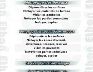 Services de nettoyage pour vos bureaux , bâtiments, maisons et locaux commerciaux
