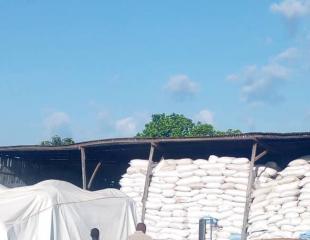 GRAINES DE COTON : 5000 TONNES