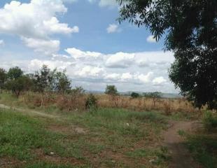 CONCESSION DE 20380m2 TRAVERSÉE PAR_UNESOURCE DEAU DOUCE MISE EN VENTE (avant pool malebo) Localisation: Kinshasa Rdc COMMUNE: Nsele (Kinkole /15 minutes après l'aéroport