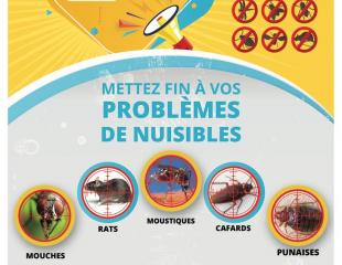 DÉSINSECTISATION ET DÉRATISATION