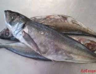 un petit garçon qui a cinq pains d'orge et deux poissons ;