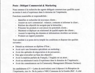 RECHERCHE DÉLÉGUÉS COMMERCIAUX