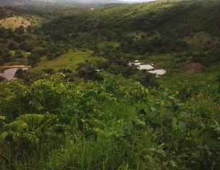 Hectares à Kimuenza 2200 dollars dernier prix