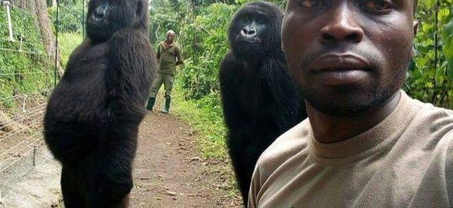 Infos congo - Actualités Congo - mediacongo