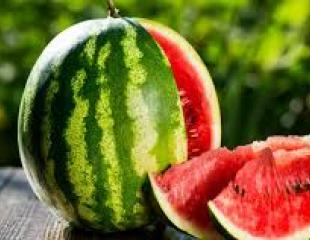Le fruit de l'Esprit : la paix (4)