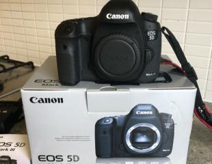 Canon EOS 5D Mark III Digital Cameras