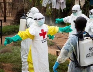 Six questions pour comprendre le virus Ebola
