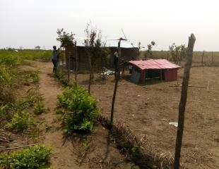 Terrain a vendre