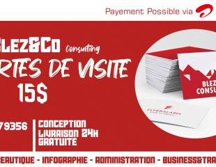 100 Cartes de visite 15$