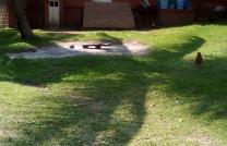 Parcelle à vendre à Mac campagne 180000 dollars 500 mètre carré mediacongo