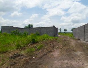 VENTE. TERRAIN DE 4400m2 TRAVERSEE PAR UNE SOURCE D’EAU DOUCE SUR KINSHASA-KINKOLE Localisation: Kinshasa Rdc Commune: Nsele