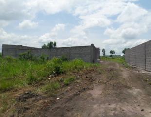 VENTE. 3 TERRAINS LOTIS VIDE SUR KINSHASA-KINKOLE LOCALISATION : Kinshasa/Rdc COMMUNE : Nsele