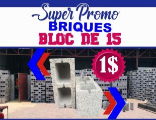 Vente Briques Bloc de 15/20