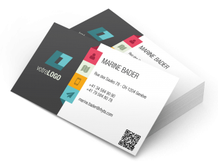 PROMOTION CARTES DE VISITE PROFESSIONNELLES