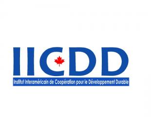 Programme: Promotion et Insertion Professionnelle des Jeunes( PIPJ) de l'IICDD
