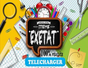 eXetat 2020