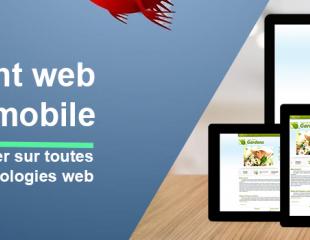 Damas Khasa, Développeur web freelance