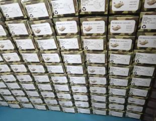 1500 cartons - Masque chirurgical (Qualité CE)