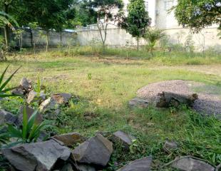 15msur20 terrain vide à vendre à pigeon 90000 dollars à discuter