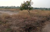 Vente de 3 terrains à kinkole 20msur20 à 8000 dollars  mediacongo