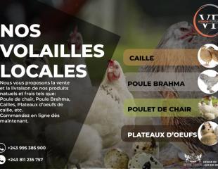 Produits naturels et frais à Kinshasa