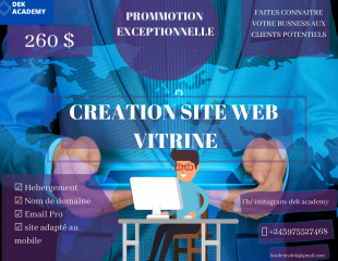 Special promotion site web à 260$