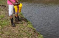 4 hectares à vendre à kasangulu à 25000 dollars mediacongo