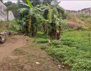 VENTE: TERRAIN DE 2800m2 SUR KINSHASA-NGALIEMA/ MA CAMPAGNE