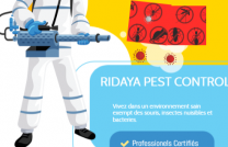 RIDAYA PEST CONTROL ( Protection de votre habitation et de votre santé.) mediacongo